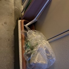植物、人工芝生の画像