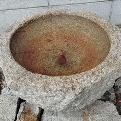 メダカの水槽（石臼）かつて私はそー呼んでました🙇‍♂の画像