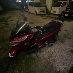 pcxの画像