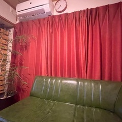 ニトリ　ドレープカーテン　レッド　赤の画像