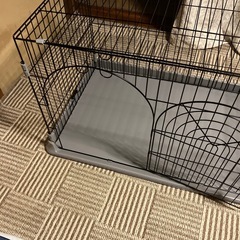 ペットゲージと砂の画像