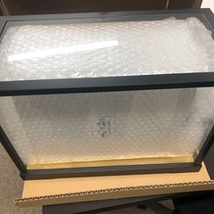 【受渡し予定決定】姫だるまの画像