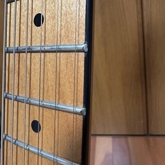 Squier Contemporary Telecaster RH RMNの画像
