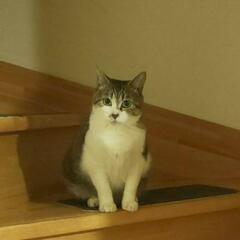 幸せになってほしいです☆の画像