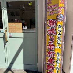 🍉🍉🍉若松小玉スイカ‼️1玉850円から‼️若松旬野菜‼️朝採り‼️ 野菜の画像