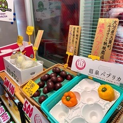 🍉🍉🍉若松小玉スイカ‼️1玉850円から‼️若松旬野菜‼️朝採り‼️ 野菜の画像
