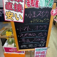 🍉🍉🍉若松小玉スイカ‼️1玉850円から‼️若松旬野菜‼️朝採り‼️ 野菜の画像