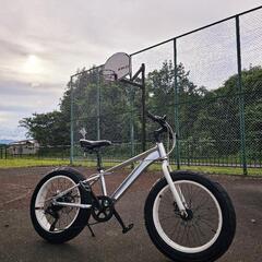 STRIKE20インチファットバイクカスタムレア車の画像