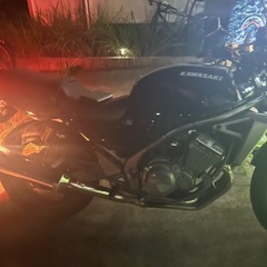 バリオス2型実動 セル1の画像