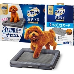デオシート消臭ラボレギュラーサイズ犬用トイレの画像