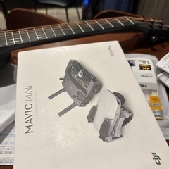  LG製の34インチゲーミングモニターと、DJI製のドローン (今日から明日まで)の画像