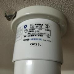 シーリングライト　大光電機　DXL-81125の画像