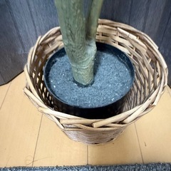 フェイクグリーンの画像