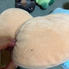 ぬいぐるみセットの画像