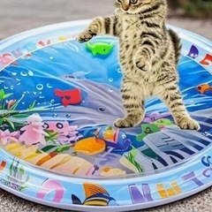 ペット用ウォーターファウンテン&おもちゃ3点の画像