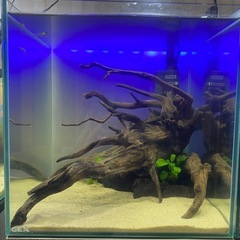 アクアリウム用ライトスクリーン(DIY商品)の画像