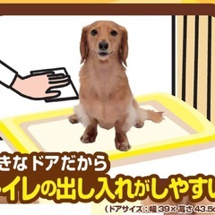 犬用　ゲージの画像