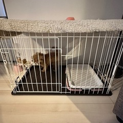 犬用　ゲージの画像