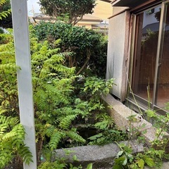石柱の画像