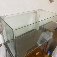 水槽の画像