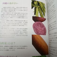 からだにやさしいおきなわ島やさいの画像