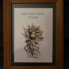 3.プランツ コーデック 植物 絵 額縁 アガベ パキポディウム アデニウムの画像