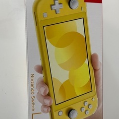 完全新品　Switchライトの画像