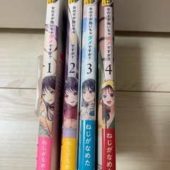 女の子が抱いちゃダメですか？ 1～4巻の画像