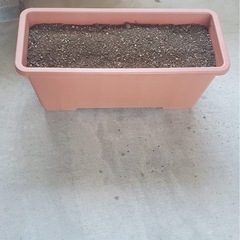 植木鉢の画像