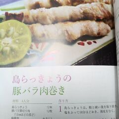 からだにやさしいおきなわ島やさいの画像