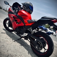 Ninja EX250l Special Editionの画像