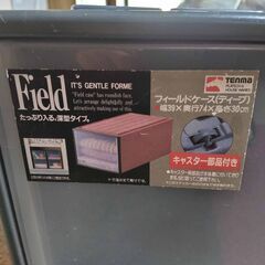 逗子 Fits Field 押入れ 衣装 整理 収納ケース 幅39×奥行74×高さ30cm フィッツ 天馬 洋服 収納 小物 タンス ガーメント シャツ セーター スーツ ジャケット 半袖 長袖 スウェット 寝巻 掛け 保管 クローゼット 大容量 衣裳 小物収納 子ども部屋 おもちゃ箱 オフィス 書類整理 収納ボックス 衣装ケース 押入れ 布団収納 押入れ 布団 収納 押入れ 収納 布団 押入れ 布団 押入れ 布団 収納 押入れチェスト ふとん 押し入 布団 新生活 引っ越し 引っこし 新居 一人暮らし の画像