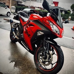 Ninja EX250l Special Editionの画像
