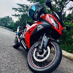 Ninja EX250l Special Editionの画像