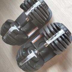可変式ダンベル24kg×2とアジャスタブルベンチの画像