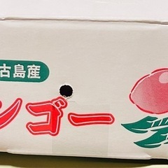 🍊【宮古島産 完熟マンゴー 4玉入り】🍊の画像