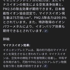 【定価25000円】IONION Premium【1点】の画像