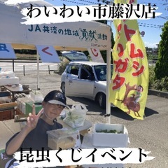 🌈昆虫くじ・対面販売イベント開催✨わいわい市藤沢店✨