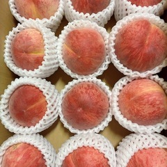 一旦終了　桃3kg箱  12玉〜13玉の画像