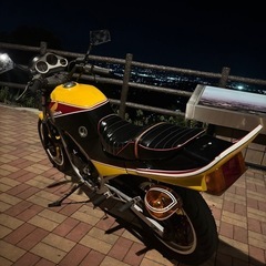VT250fe の画像