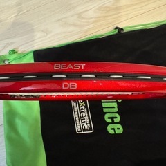 Prince BEAST DB 100 300
の画像