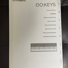 【値下げしました】キーボード Roland GO:KEYS ※ACアダプター欠品の画像