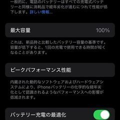 【使用感少】😺iPhone SE264GB 残量１００%  おまけ付き😺の画像