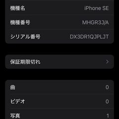 【使用感少】😺iPhone SE264GB 残量１００%  おまけ付き😺の画像