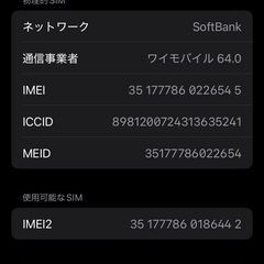 【使用感少】😺iPhone SE264GB 残量１００%  おまけ付き😺の画像