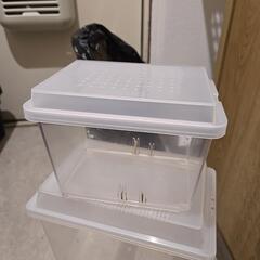 クワガタ　カブト　飼育ケース2の画像