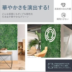 壁掛けフェイクグリーンの画像