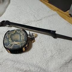 琉球三線の画像