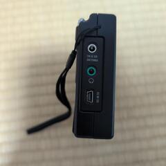 TECSUN PL-310ETの画像