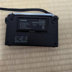 TECSUN PL-310ETの画像